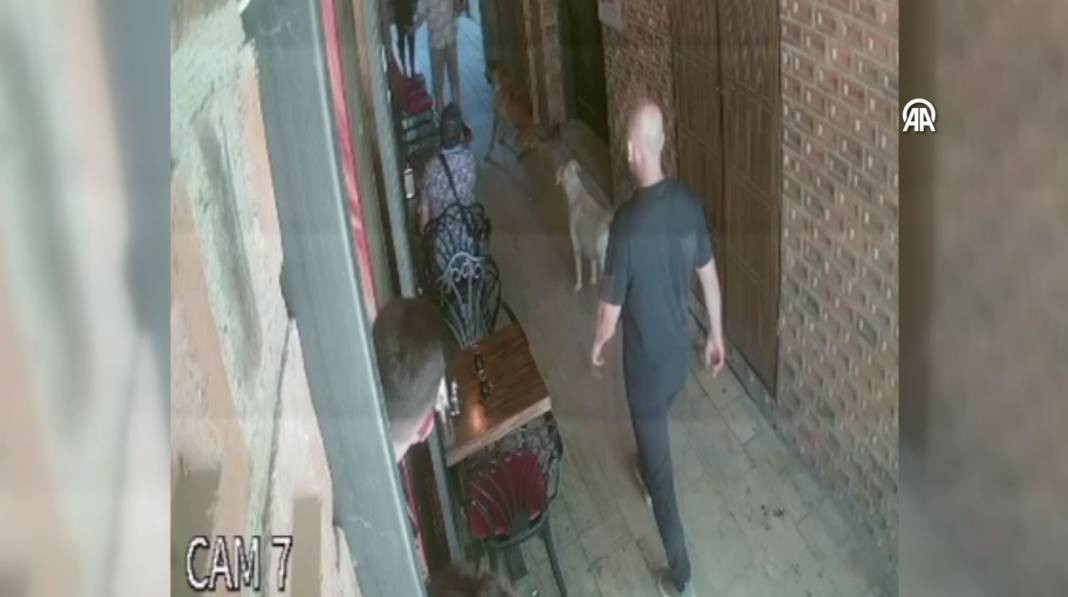 Pamukkale Kafeler Sokağı'nda sevmek istediği sokak köpeği ısırdı - Resim: 2